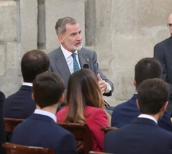Don Felipe durante la audiencia a los nuevos funcionarios del Cuerpo de Ingenieros Industriales del Estado